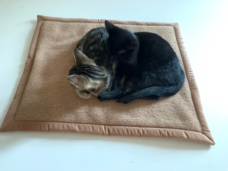 Pet-Deluxe Katzendecke