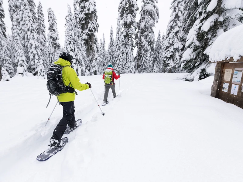 DynaLock™ Trail Backcountry Poles