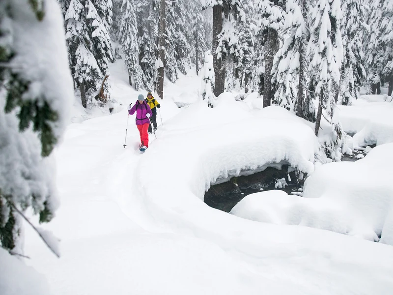 DynaLock™ Trail Backcountry Poles