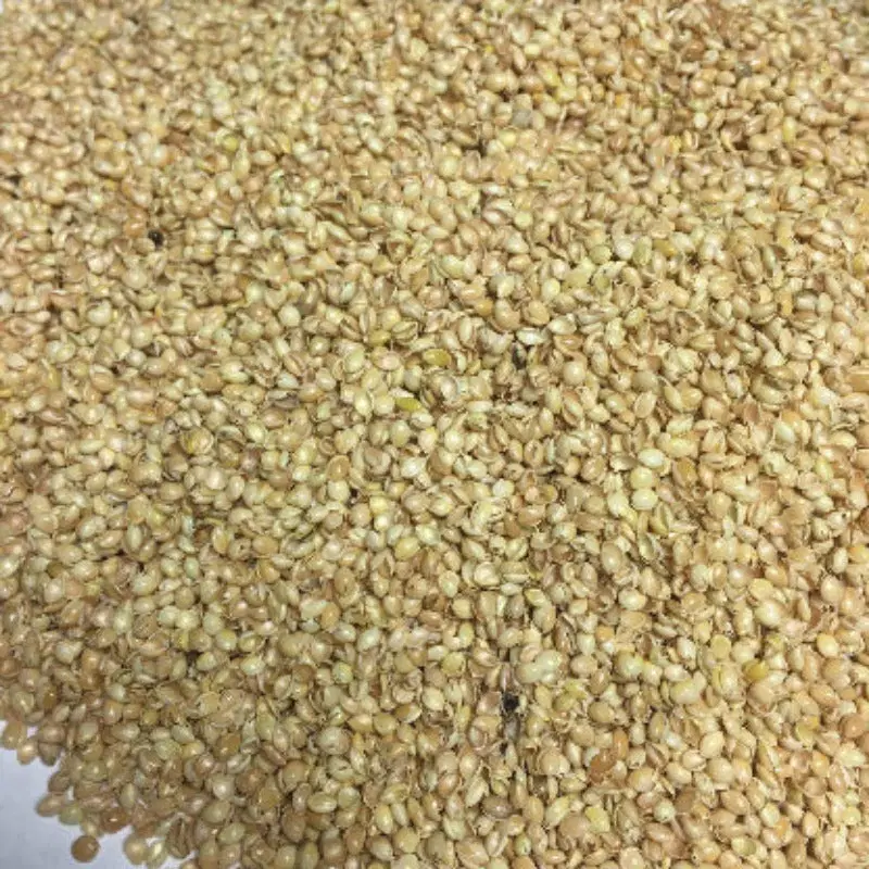Bio Kuschelkissen Mond Nackenkissen aus Baumwolle – Spelzfüllung, GOTS