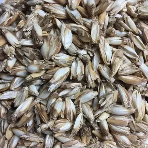 Bio Kuschelkissen Ziege aus Baumwolle – Spelzfüllung, Bio