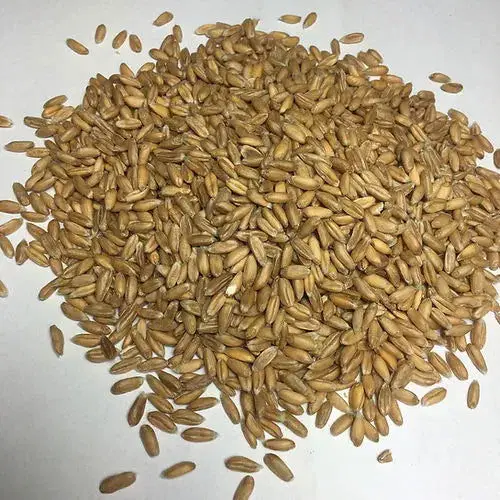 Bio Lavendelkissen Eule – Einschlafhilfe mit Dinkel & Lavendel