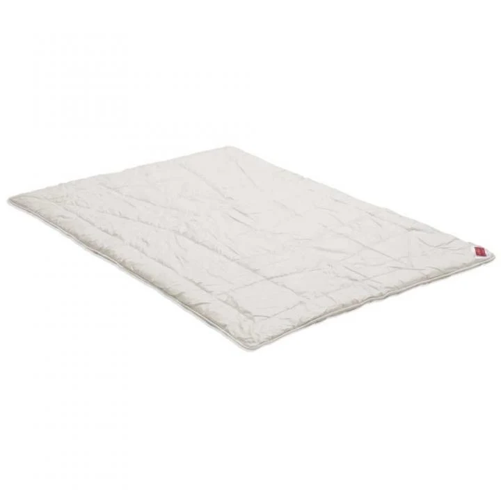 Wellness Zirbe Winterdecke