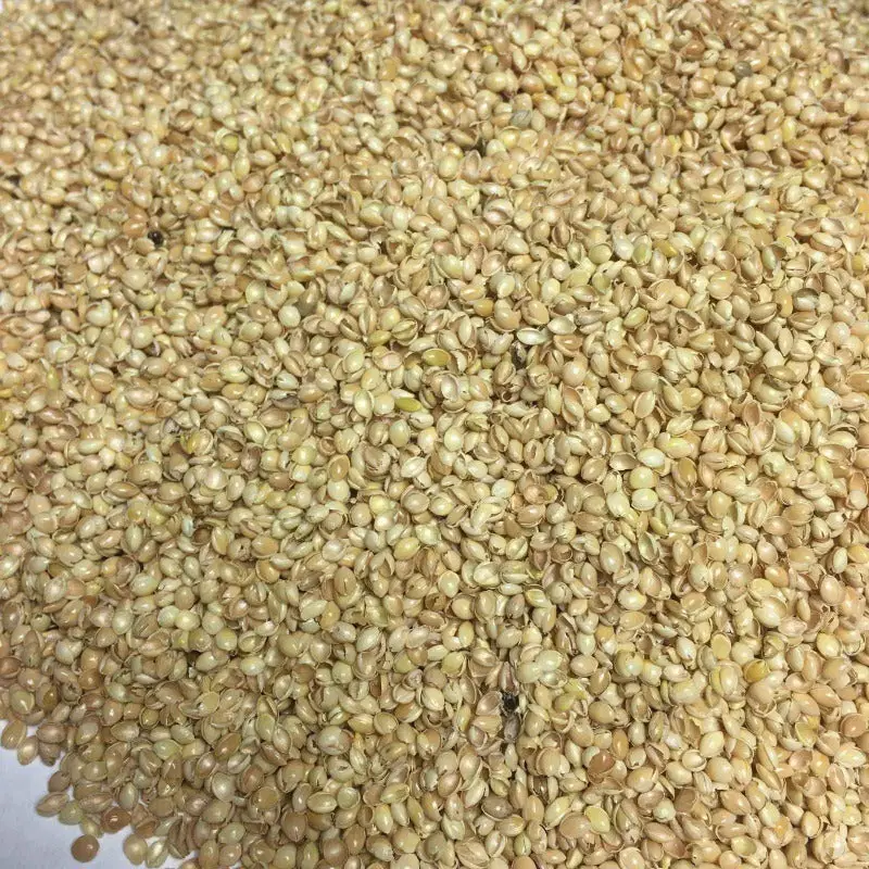 Bio Kuschelkissen Alpaka aus Baumwolle – Spelzfüllung, GOTS