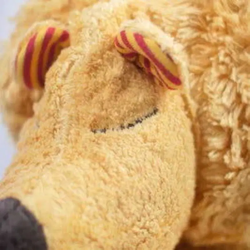 Bio Kuschelkissen Löwe aus Baumwolle – Spelzfüllung, GOTS