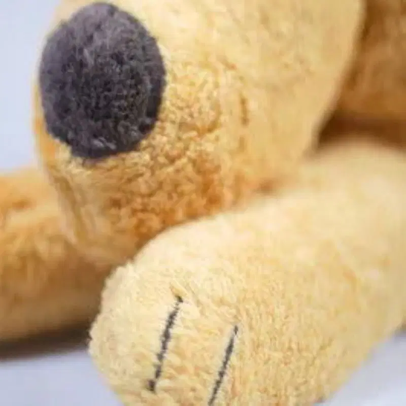Bio Kuschelkissen Löwe aus Baumwolle – Spelzfüllung, GOTS