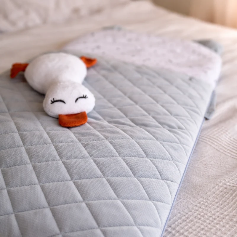 Kuschelente