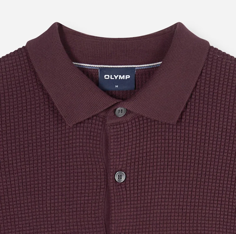 Langarm Polo Strick