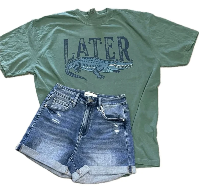 Lucinda Denim Shorts (Medium)