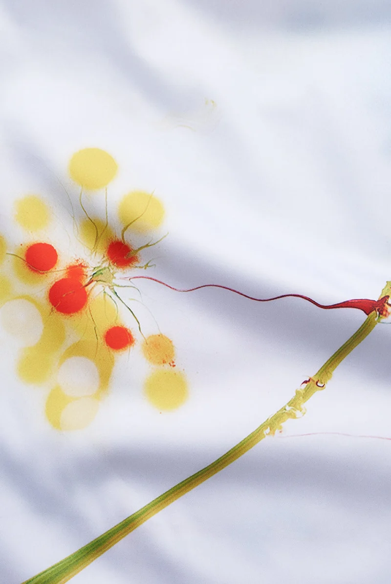 Artist Bedding Collection "Raingarden Equinox" by Thierry Feuz