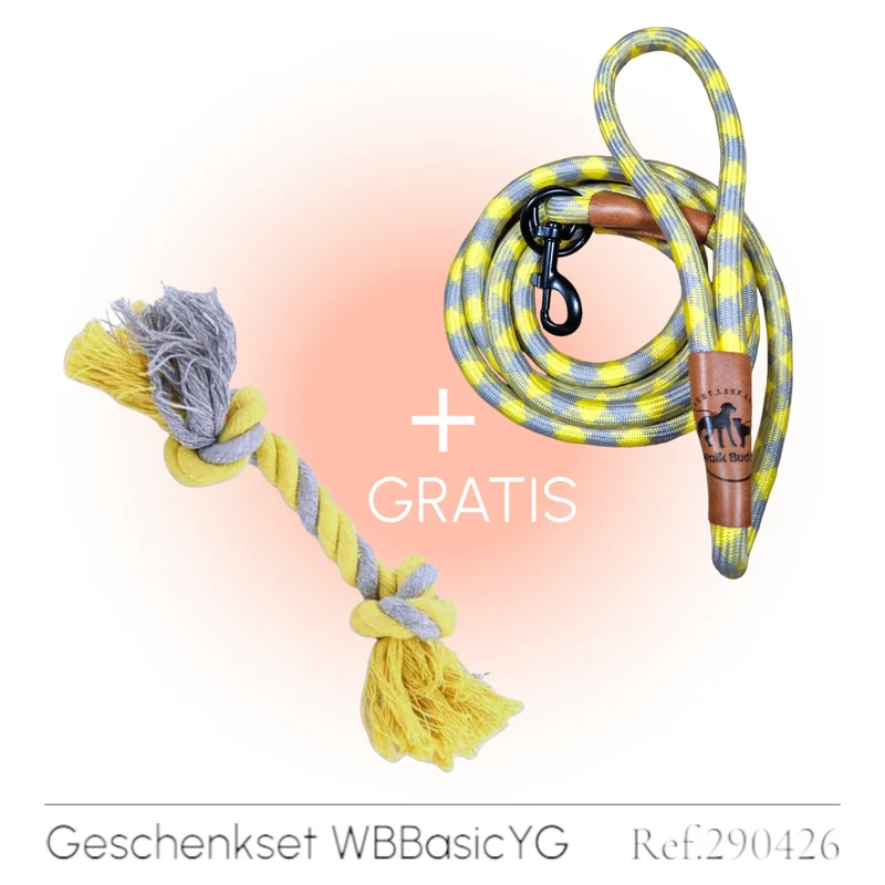 Hundeleine grau gelb Angebot mit gratis Tauseil zum Spielen und Zerren