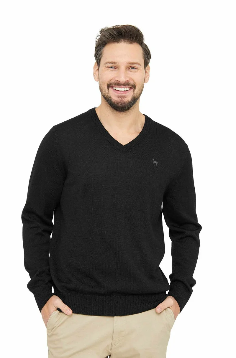 Apu Kuntur - Edler Herren-Pullover aus 100% Baby Alpaka - V-Kragen