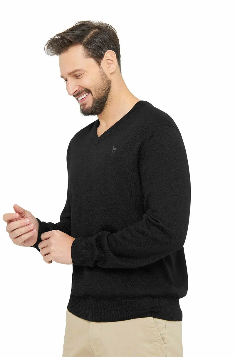 Apu Kuntur - Edler Herren-Pullover aus 100% Baby Alpaka - V-Kragen